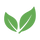 100% Natural and Vegan